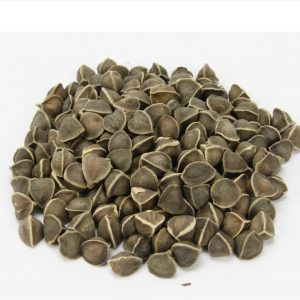 Moringa Seeds