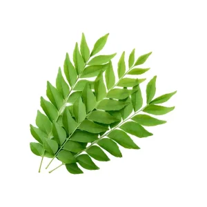Curry Leaves