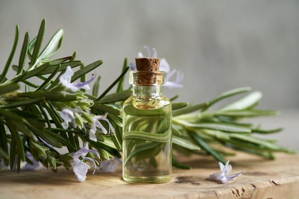 Rosemary Oil