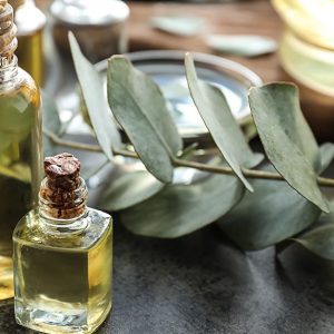 Eucalyptus Oil
