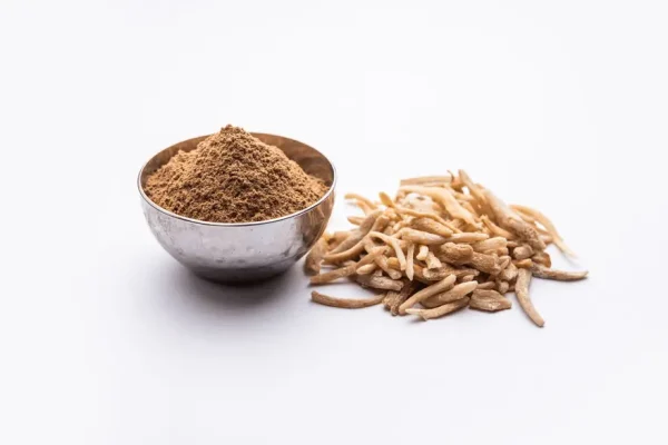Safed Musli