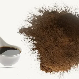 Soya Sauce Powder
