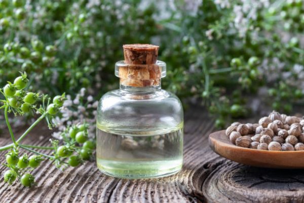 Coriander Oil