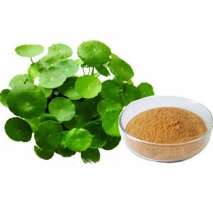 Bacopa 10%