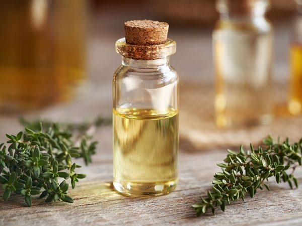 Thyme Oil