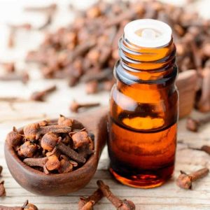 Clove bud Oil