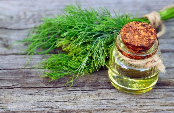 Dill seed Oil