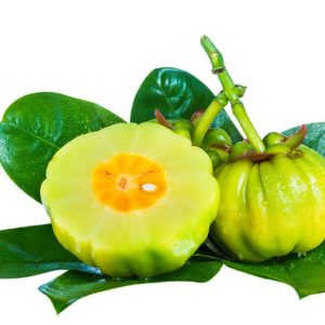 Garcinia