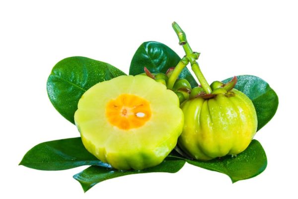 Garcinia