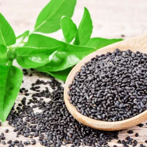 Basil Seeds