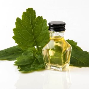 Patchouli Oil