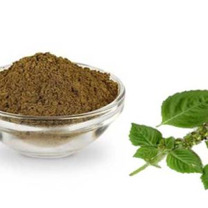 Tulsi Powder