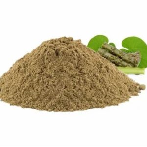 Guduchi Powder