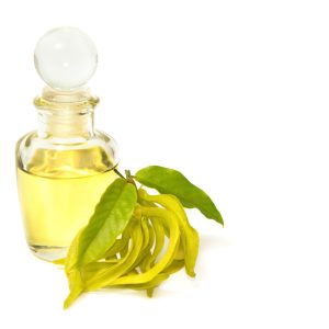 Ylang-Ylang Oil