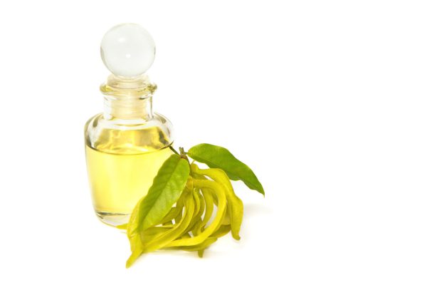 Ylang-Ylang Oil